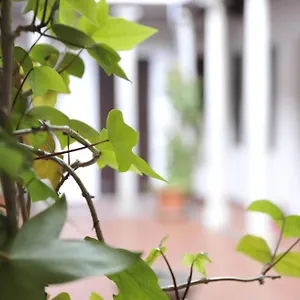 Apartmán Adanar-las Columnas